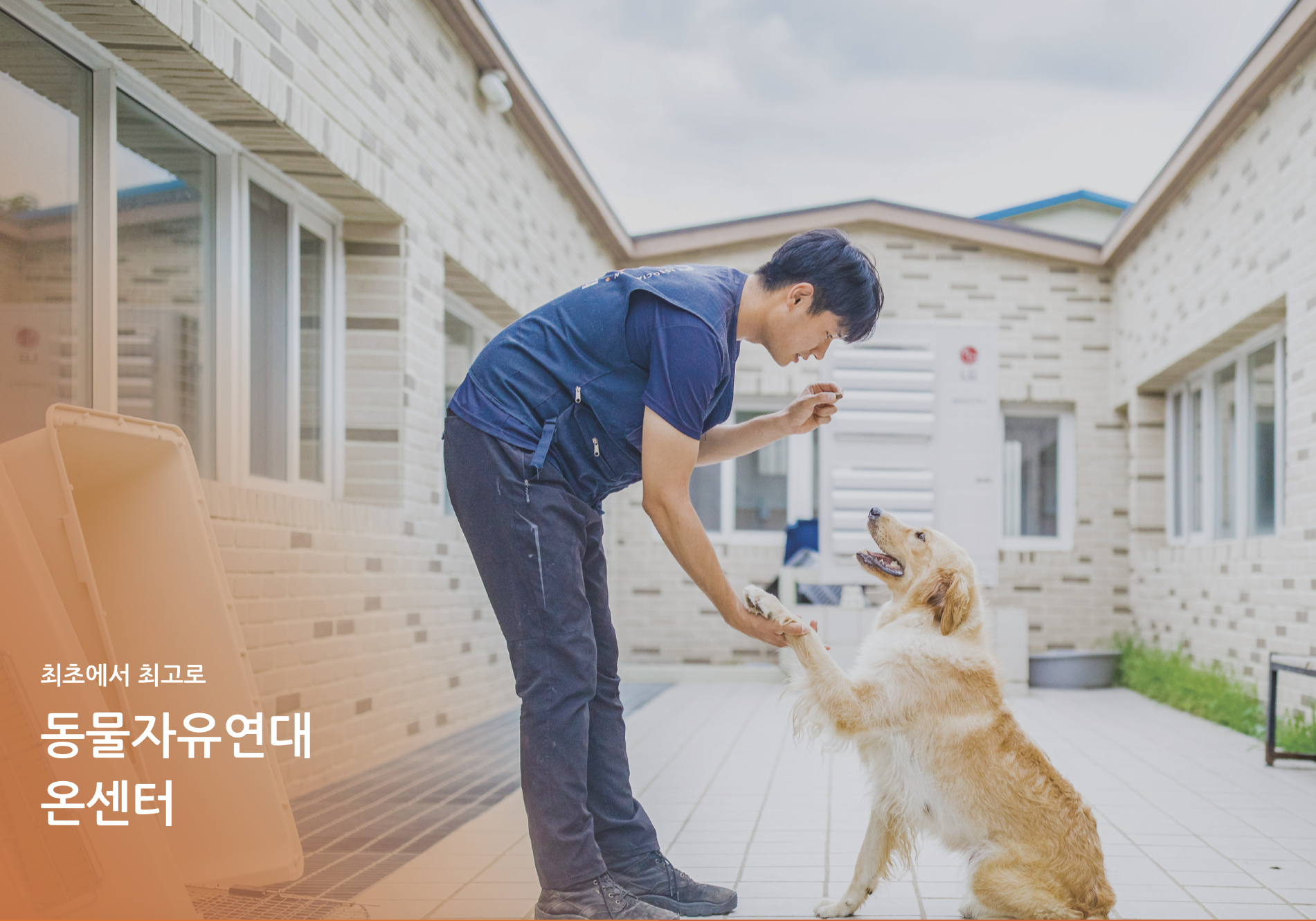 동물자유연대
